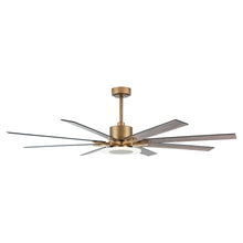 Godavari Ceiling Fan with Light 65"