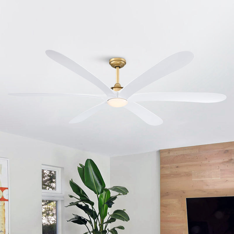 Jaydn Ceiling Fan with Light 72C