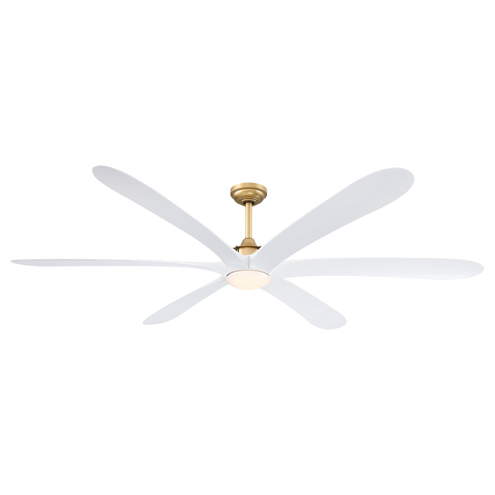 Jaydn Ceiling Fan with Light 72C
