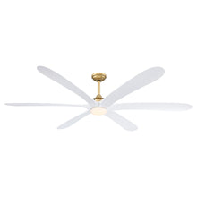 Jaydn Ceiling Fan with Light 72C