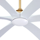 Jaydn Ceiling Fan with Light 72C