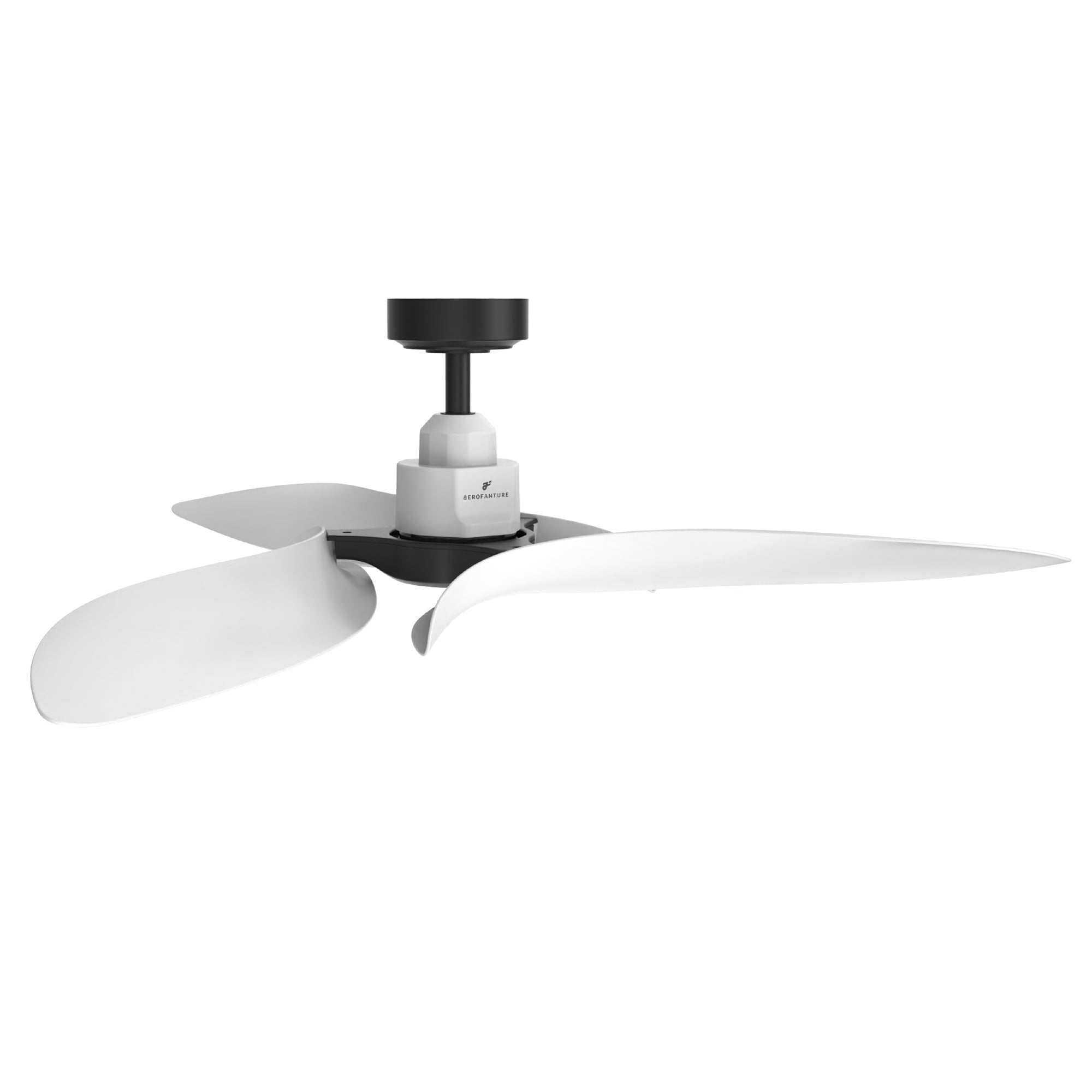 Rex Black Ceiling Fan 54"