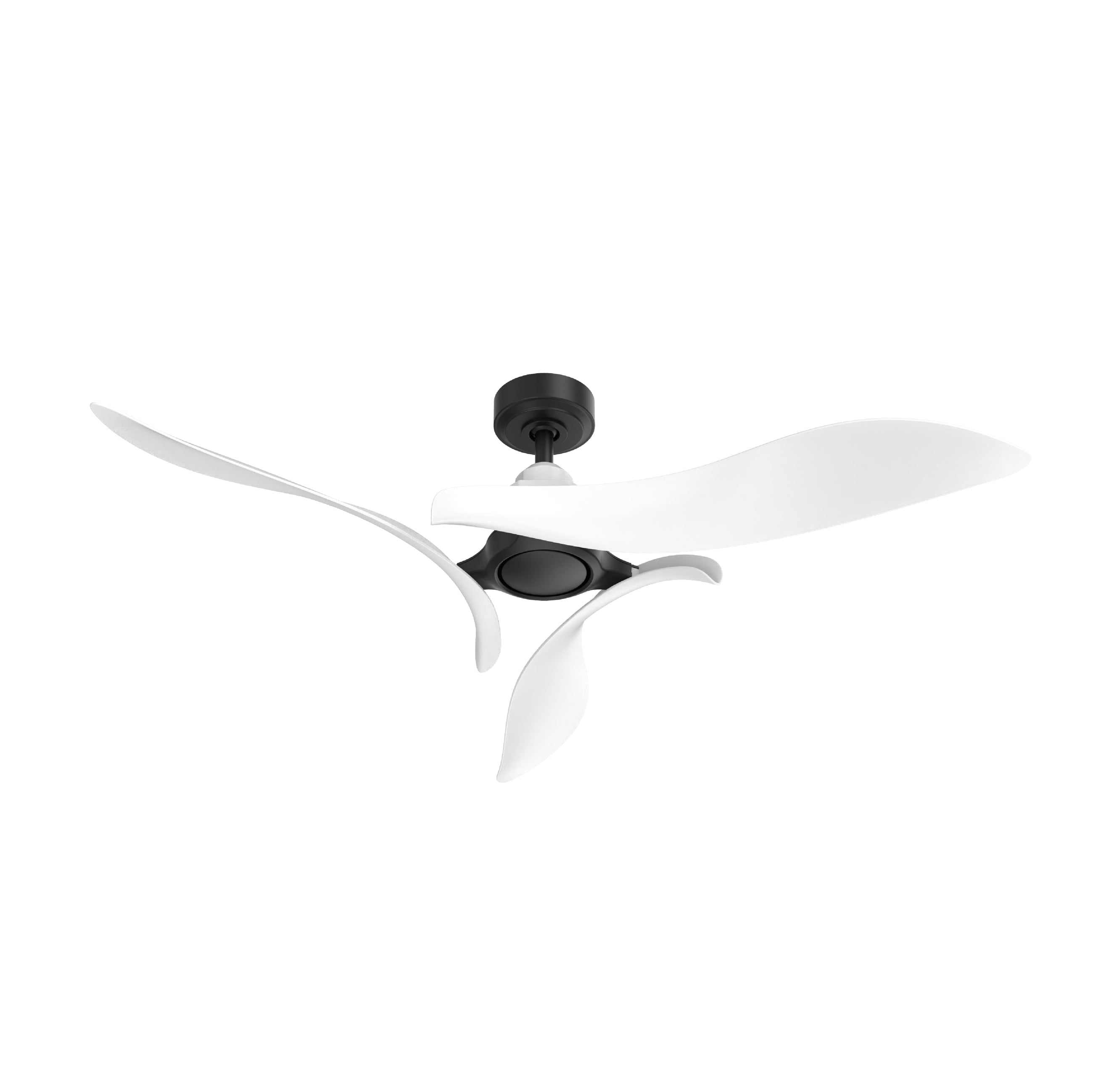 Rex Black Ceiling Fan 54"