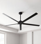 Winni Outdoor Ceiling Fan 72"