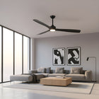 Alexi Ceiling Fan with Light 60"